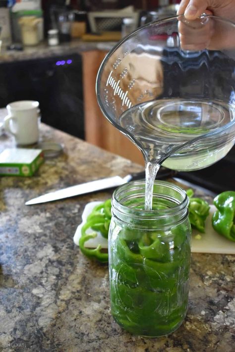 How To Store Peppers, Canning Bell Peppers, Freezing Bell Peppers, Canning Peppers, Canning Peaches, Pressure Canning Recipes, Canning Process, Home Canning Recipes, Canning Vegetables