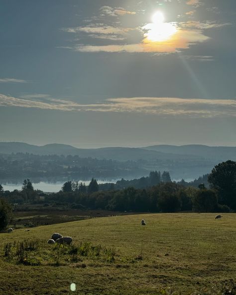 Ireland, it was impossible to capture your beauty. Thank you for giving us the gift of good weather, good food and good people. 🐑🇮🇪🍀🌾🌊🦀 @tourismireland @ireland.explores @ashfordcastle @lougheskecastle #ireland #irelandphotography #irish Rainy Ireland Aesthetic, Rainy Ireland, Fermanagh Ireland, Irish Landscape Photography, Ireland Weather, Ireland Photography, Good Weather, Fav Books, The Gift