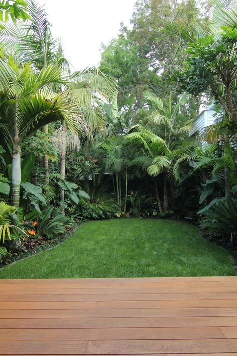 Tropical Side Garden, Diy Tropical Backyard, Tropical Garden Plants, Tropical Backyard Landscaping, Small Tropical Gardens, Tropical Landscape Design, Large Backyard Landscaping, Tanaman Indoor, Build Design