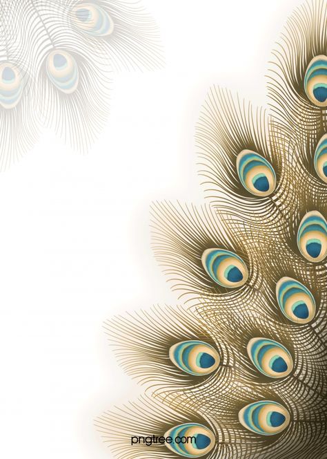 Peackok Feather Wallpaper Hd, Peacock Wallpaper Backgrounds, Peacock Feather Background, Peacock Feathers Wallpaper, Peacock Background, Peacock Feather Wedding, Peacock Feather Art, Feather Background, राधा कृष्ण वॉलपेपर