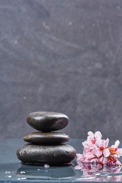 Free Pictures To Use, Zen Background, Vertical Background, Spa Images, Zen Pictures, Mystic Illustration, Rock Candle, Instagram Branding Design, Background Space