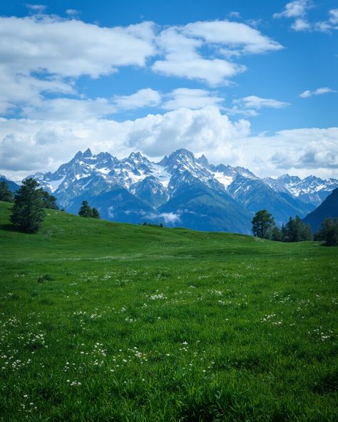 Snow-dusted mountain range stretches across the horizon under brilliant blue skies. White clouds drift lazily overhead while a green field dotted with white flowers spreads across the foreground. Trees and shrubs frame the pastoral scene, leading the eye toward the majestic peaks. This landscape seamlessly blends peaceful meadow with dramatic mountain vistas.  Immerse yourself in nature @terraframma White Plains New York, Peaceful Meadow, Outdoor Scenery, Alpine Meadow, Green Field, White Plains, Snowy Mountains, Scenery Nature, White Clouds