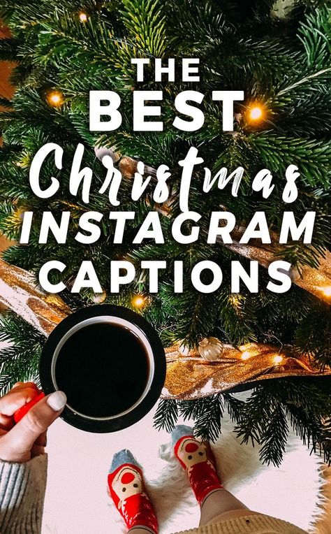 Christmas Lights Caption, Christmas Captions Instagram, Christmas Instagram Captions, Funny Christmas Captions, Caption Untuk Instagram, Pictures Captions, Christmas Captions For Instagram, Christmas Instagram Pictures, Christmas Instagram