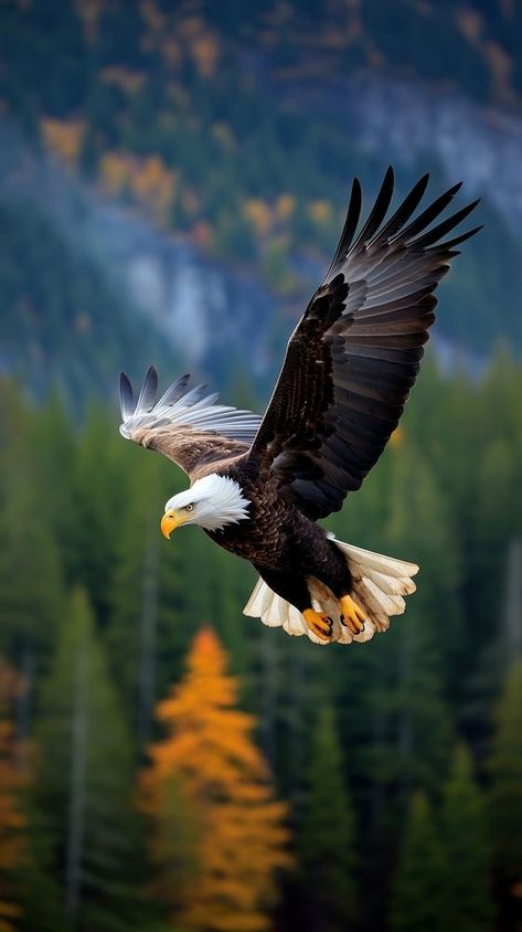 Eagle flying wildlife animal nature. | premium image by rawpixel.com / Ake Photos Of Eagles, Best Walpappers For Mobile, Animal Nature Wallpaper, Nature Wallpaper Animals, Animal Wildlife Photography, Eagle Flying Photography, Egal Bird Wallpaper, Best Nature Wallpapers Iphone, Flying Eagle Wallpaper