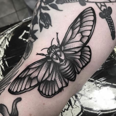 Traditional Moth Tattoo, Cicada Tattoo, Cuff Tattoo, Traditional Tattoo Inspiration, Moon Phases Tattoo, Bug Tattoo, City Tattoo, Sibling Tattoos, Moth Tattoo