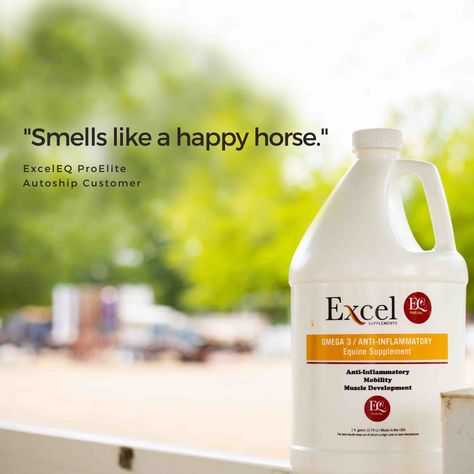 What does Excel's oil smell like? The results are in ☝ What do you think Excel's camelina oil smells like? We want to know! #excelsupplements #camelinaoil Calming Essential Oils For Dogs, Camelina Oil, Dog Health Care Coconut Oil, Natural Supplements For Dogs, Essential Oils Harmful To Dogs, Best Dog Supplements, Horse Feed, March 30, Omega 3