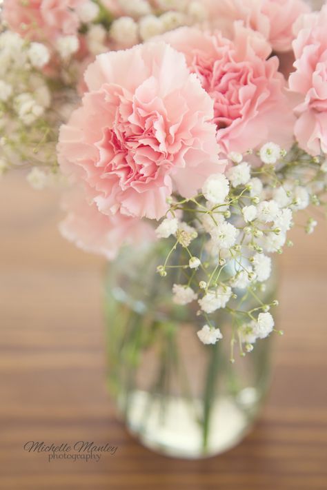 Pink Carnations - Michelle Manley Photography Carnation Wedding Bouquet, Carnation Wedding, Light Writing, Light Pink Rose, Pink Carnations, Carnation Flower, Flowers Aesthetic, Floral Vase, Baby Shower Centerpieces