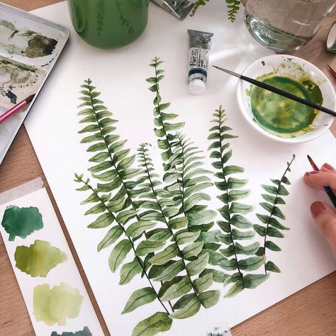 Wall Paint Inspiration, Fern Watercolor, Boston Fern, Fairy Drawings, Watercolor Tips, Fern Leaves, Drawing Flowers, Watercolour Inspiration, Gouache Art