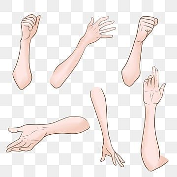 Hand And Arm Drawing Reference, Hand On Arm Reference, Body Posture Reference, Png Vtuber Base, Arm Base Drawing, Hand And Arm Drawing, Anime Arms Reference, Hand Grabbing Shirt Reference, Arm Poses Drawing