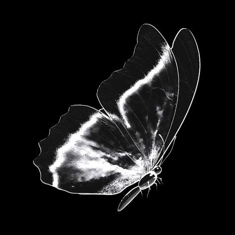 Butterfly Pfp, Black Aesthetic Icon, Vampire Knight Yuki, Black And White Gif, Y2k Pfp, Butterfly Logo, Vampire Knight, App Covers, Widget Icon