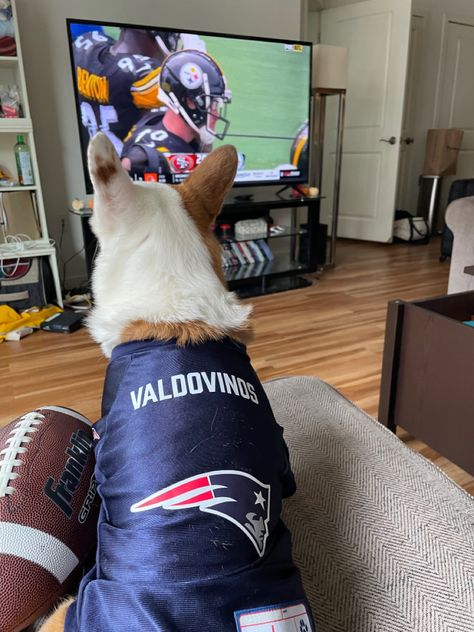 A corgi sits on a couch wearing a patriots jersey and has a football next to her. In the background she is facing a tv with football playing on it and some pumpkins fall decorations Sunday Football Aesthetic, Football Sunday Aesthetic, Football Sunday Snacks, Sunday Snacks, Autumn Football, Football Foods, Football Wife, Football Appetizers, Football Dog