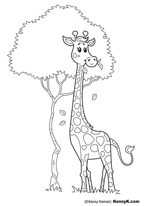 Coloring page giraffe Zoo Animal Coloring Pages, Giraffe Coloring Pages, Giraffe Colors, Preschool Coloring Pages, Easy Coloring Pages, 자수 디자인, Coloring Pages To Print, Animal Coloring Pages, Free Printable Coloring Pages