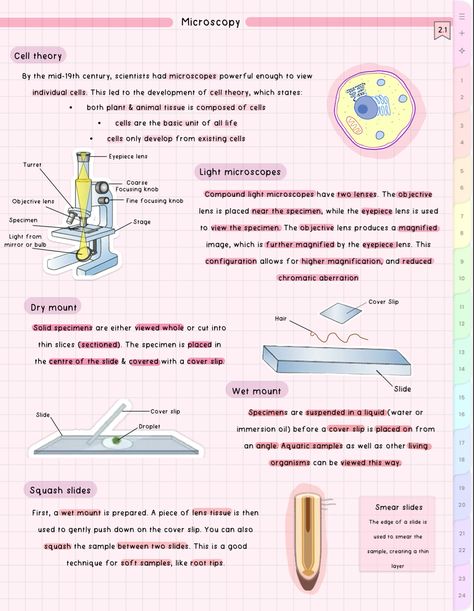 #cute #aesthetic #biology #notes #study #student Microscopy Biology Notes, Aesthetic Biology Notes, Microbiology Aesthetic, Aesthetic Biology, Microbiology Study, Bio Notes, Gcse Biology, Microbiology Lab, Biology Revision