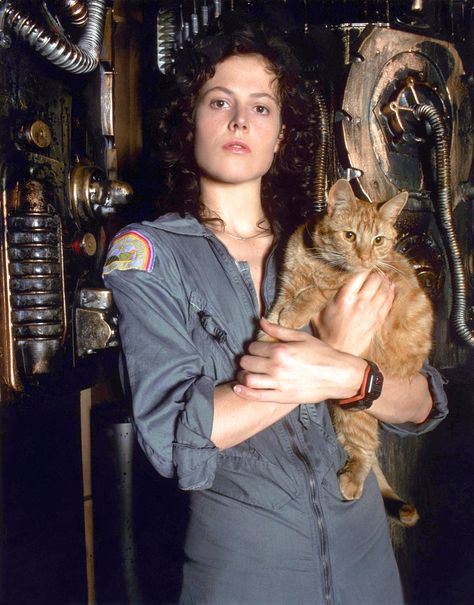 Sigourney Weaver / production still from Ridley Scott’s Alien (1979) Tumblr, Alien Ridley Scott, Cat Alien, Ellen Ripley, Alien 1979, Sigourney Weaver, Aliens Movie, Ridley Scott, Alien Art