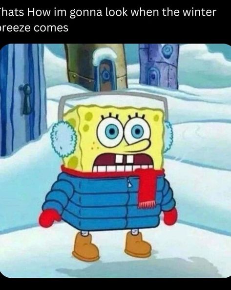 Posted @withregram • @chillmysponge Why is it so cold 😭 Pattern Quotes, Funny Picture Quotes, Picture Quotes, Funny Quotes, Memes, Funny, Quotes