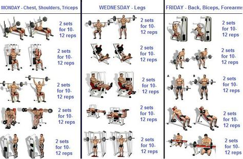 8 Weeks Workout Programme For Beginners - GymGuider.com Workout Programme, Weekly Gym Workouts, Study Info, Gym Program, Fitness Studio Training, Workout Hiit, Sixpack Workout, Workout Plan For Men, Gym Plan