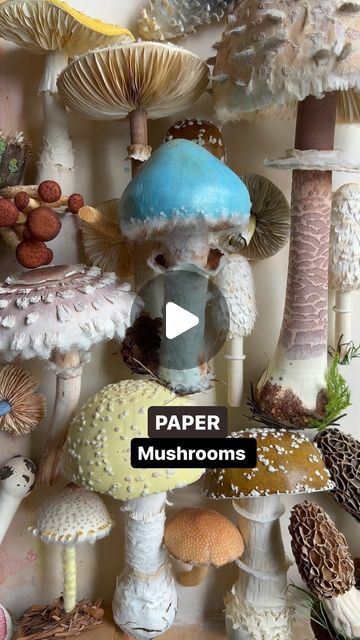 Ann Wood @Woodlucker/paper art on Instagram: "PAPER mushrooms…..fluffy handmade mushroom collection is growing!  #woodlucker #paperartist #paperart #imadethis #handmade #papermushroom #viral #viralreels #viralpost #reels #reelsinstagram #reelsvideo #explorepage #mushrooms #mushroomsofinstagram #ilovemushrooms #garden #gardenlifestyle #marthastewart #betterhomesandgardens #antiques #cottagecore #fluffy #botanical #botanicalart #botanicalillustration" Diy Mushrooms, Paper Mushrooms, Mushroom Diy, Mushroom Collection, Hobbit Party, Expanding Foam, Mushroom Crafts, Ann Wood, Paper Works