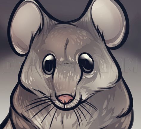 Who here wants to learn how to draw the cutest mouse face ever? I know, I know, some people think that mice are gross, and believe me I am one of thos Rat Face Drawing, Mouse Face Drawing, Face Step By Step, Nursery Rhyme Characters, Three Blind Mice, Memorial Ideas, Sketching Ideas, Creeped Out, Drawing Guide