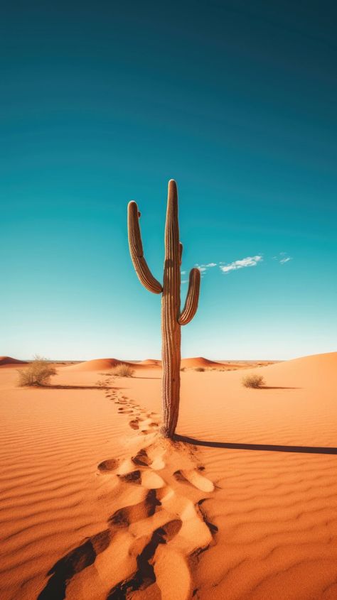 Desert landscape, lone cactus, standing resilient against sandy backdrop. Nature photography, cactus background, low angle shot, bright sunlight, desert minimalism, solitary silhouette, sandy expanse, arid contrast, desert's monument, sparse backdrop, minimalistic background. --ar 9:16 Desert Nature Photography, Cacti In Desert, Desert Pictures Photography, Mexican Desert Landscape, Resilience Aesthetic, Desert Cactus Photography, Desert Minimalism, Arabian Desert Aesthetic, Cactus In Desert