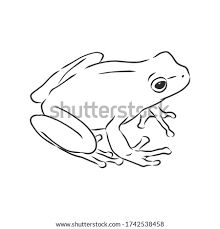 Poison Dart Frog Drawing, Frog Line Art, Frog Drawing Sketches, Frog Line Drawing, Frog Tattoo Design, Frog Outline, Frog Template, Artists Block, Frog Clipart