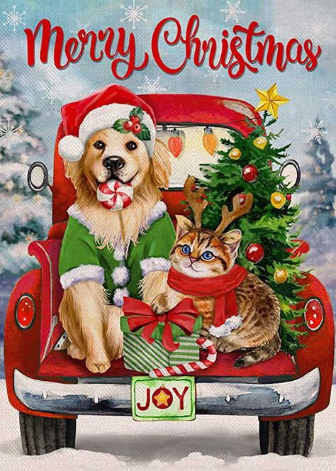 Merry Christmas Images Dogs, Dog And Cat Christmas Pictures, Merry Christmas Cute Pictures, Merry Christmas Images Cute, Merry Christmas Cats, Merry Christmas Dogs, Christmas Greetings Pictures, Christmas Dogs Funny, Merry Christmas Card Design