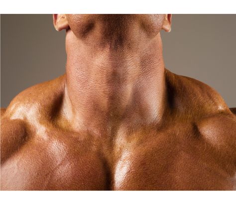 Make gains in your neck, forearms, and calves to prove you're dedicated to your fitness regimen. Muscular Neck, Neck Training, Thick Neck, Neck Workout, Neck Muscles, Lions Den, Anatomy References, Neck Exercises, Beachbody Workouts