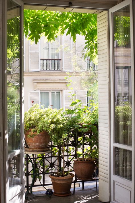 How to Garden Like a Frenchwoman: 10 Ideas to Steal from a Paris Balcony Parisian Balcony, Paris Balcony, Small Urban Garden, French Balcony, Balkon Decor, Apartment Balcony Garden, Small Balcony Garden, Balkon Design, Small Balcony Design