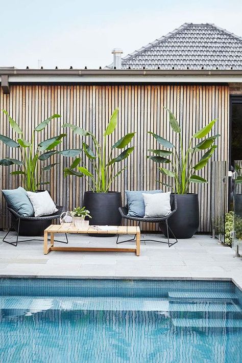 Tropical outdoor plants in modern Scandinavian patio area. Outdoor decor inspiration. Pool Goals, Pool Dekor, Kleiner Pool Design, White Pool, Pool Plants, Moderne Pools, Simple Pool, Pool Landscape Design, Small Pool Design