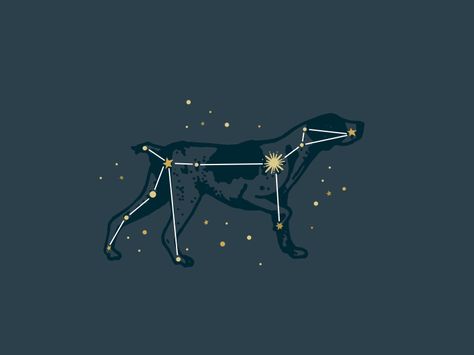 Canis Major Constellation; "Dog Star" . I want to get the name of this as a tattoo for my pup Sirius Black Constellation, Gsp Outline Tattoo, Gsp Tattoos, Dog Star Tattoo, Gsp Tattoo Ideas, Canis Major Constellation Tattoo, Sirius Black Tattoo Ideas, Canis Major Tattoo, Gsp Tattoo