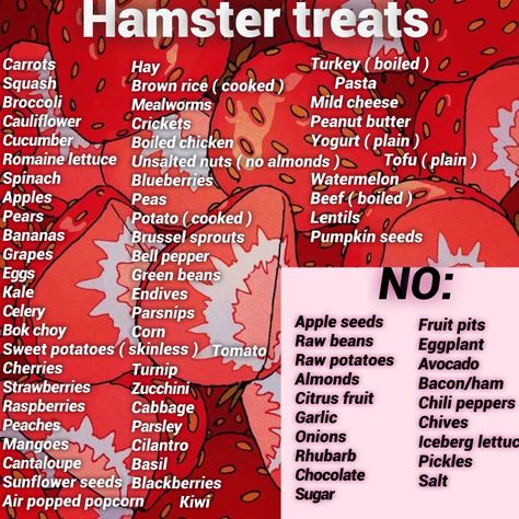 Hamster Meal Plan, Syrian Hamster Food List, Hamster Treats Diy, Hamster Things Diy, Homemade Hamster Food, Diy Hamster Food Recipes, Small Hamster Cage Ideas, Boredom Breakers For Hamsters, Hamster Food Recipes