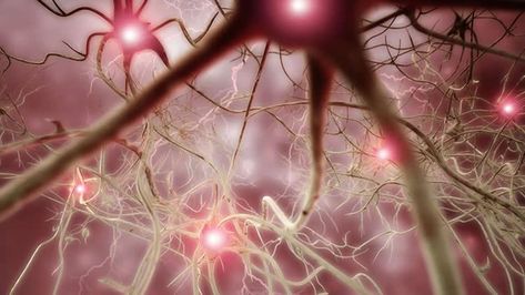 Does an Exploding Brain Network Cause Chronic Pain? Brain Cells, Cleveland Clinic, University Of Southern California, Image Caption, Brain Activities, Human Brain, Personality Disorder, Neuroscience, Elon Musk