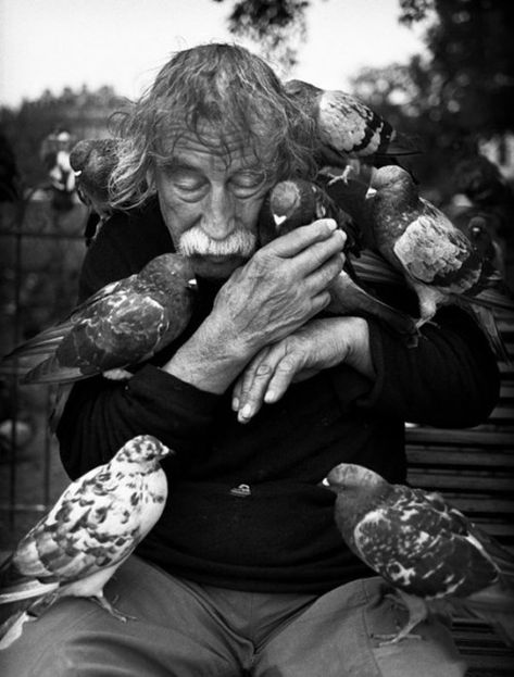 El viejo y las palomas. Andre Kertesz, Robert Doisneau, Foto Art, Old People, Animal Friends, Quarter Horse, Black White Photos, People Of The World, 인물 사진