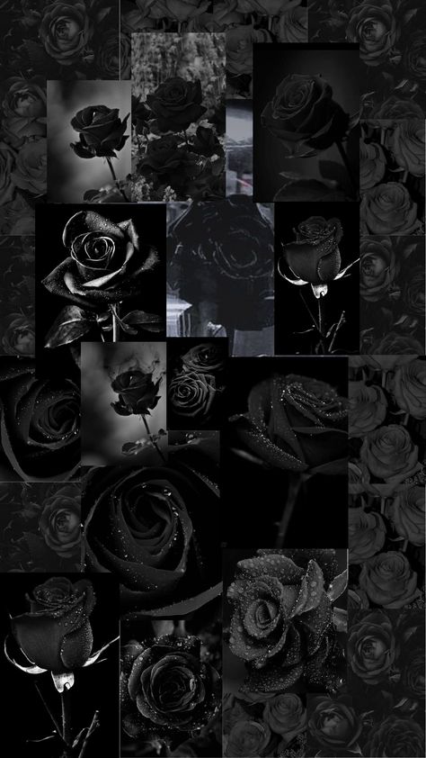 Pretty Phone Backgrounds, Black Roses Wallpaper, Black Rose Flower, Red And Black Wallpaper, Lip Wallpaper, Black Wallpaper Iphone Dark, Pretty Wallpapers Tumblr, Cute Black Wallpaper, Witchy Wallpaper