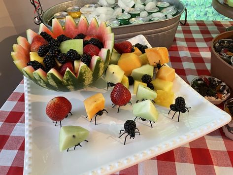 Carved watermelon with ants #miniscule Bug Bday Party, Birthday Watermelon Carving, June Bug Birthday Theme, Bug Party Snacks, Bug Party Food Ideas, Ant Themed Party, Bug Shaped Food, Ants Go Marching Birthday Party, Bug Themed Party Food