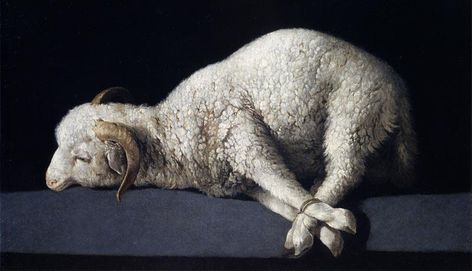 The Passover Lamb Passover Lamb, Lorenzo Bernini, Fra Angelico, Agnus Dei, Holland America Line, Lamb Of God, Francisco Goya, Religious Paintings, A4 Poster