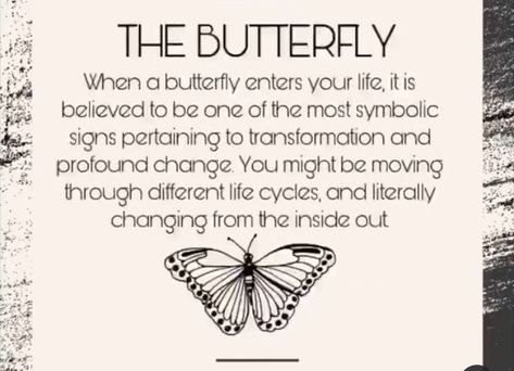 Symbolism Of Butterflies, Monarch Butterfly Symbolism, What Does A Butterfly Symbolize, Buterfluffy Quotes, Seeing Butterflies Meaning, What Do Butterflies Symbolize, Butterfly Significance, Butterfly Quotes Beautiful, Meaning Of Butterfly Tattoo