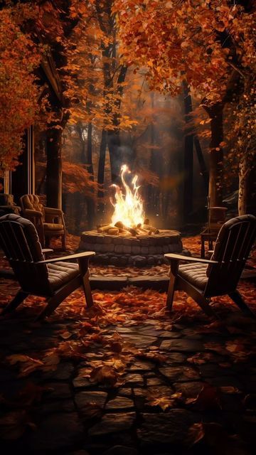 Winter Scenes Wonderland, Autumn Collage, Good Night All, Backyard Bonfire, October Autumn, Fall Wallpapers, Autumn October, Orange Leaves, Autumn Magic