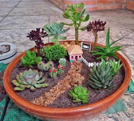 Mini Cactus Garden, Kaktus Dan Sukulen, Miniature Zen Garden, Fairy Garden Pots, Fairy Garden Plants, Aesthetic Decoration, Succulent Garden Design, نباتات منزلية, Succulent Garden Diy