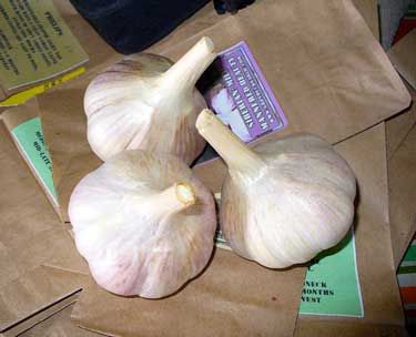 How To Store Fresh Garlic Bulbs, How To Store Garlic Bulbs, Storing Garlic Bulbs, Store Garlic Cloves How To, How To Keep Garlic Fresh How To Store, How To Store Garlic Long Term, Preserving Produce, Storing Garlic, Store Garlic