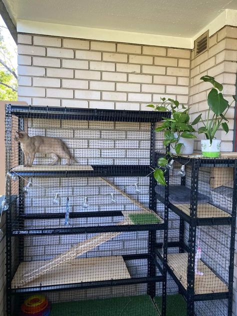 Kitty Condo Diy Cat Enclosure, Apartment Catio Cats, Garage Cat House, Apartment Patio Catio, Indoor Cat House Ideas, Diy Cat Kennel, Cat Balcony Enclosure, Cat Building Ideas, Diy Cat Catio