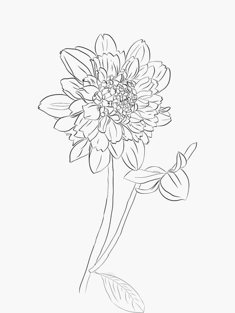 Dahlia Flower Outline, Dahlia Line Art, Black And White Dahlia, White Dahlia Flower, White Dahlia, Paper Play, Flower Silhouette, Flower Outline, Black Dahlia