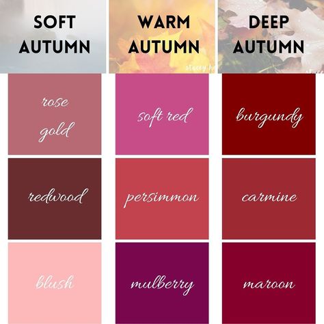 THE PERFECT pink 🩷🩷 Comment “SCG” to find the perfect pink for your season. 🌷Spring pinks are warm, light, and bright 🌞Summer pinks are cool, light, and muted 🍁Autumn pinks are warm, deep, and soft ❄️Winter pinks are cool, dark, and bright Comment “SCG” to learn more about your perfect pink. #pink #pinkpinkpink #pinkaesthetic #pinkfashion #pinkstyle #clearspring #clearwinter #brightspring #brightwinter #warmspring #truespring #warmautumn #trueautumn #lightspring #lightsummer #coolsummer #... Deep Autumn Pink Palette, Pink For Deep Autumn, Dark Autumn Pink, Pink For Dark Autumn, Dark Autumn Light Colors, Deep Autumn Makeup, Elemental Colour Soft Autumn, Deep Autumn Palette, Soft Autumn Deep