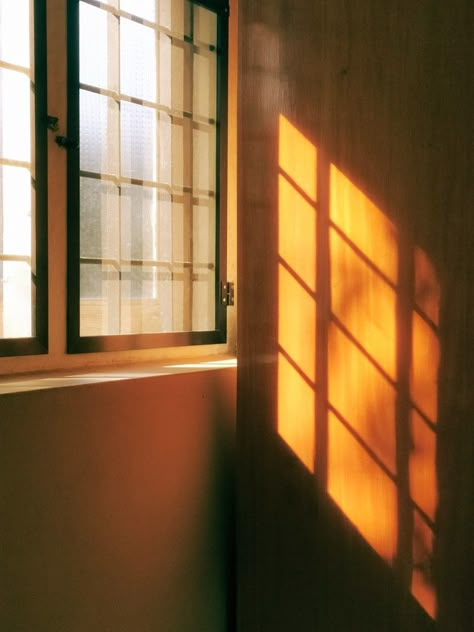 Golden Hour Product Photography, Sunlight On Wall, Window Sunlight Aesthetic, Golden Light Aesthetic, Sun Light Aesthetic, Sunlight Through Window, Golden Sunlight Aesthetic, Daylight Aesthetic, Golden Hour Painting