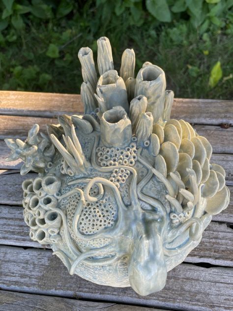 Clay Coral Reef Sculpture, Coral Reef Ceramic Sculpture, Coral Pottery Ideas, Clay Natural Forms, Pottery Coral Reef, Ocean Sculpture Ideas, Ceramic Nature Sculpture, Sea Life Sculpture, Ceramic Art Pieces