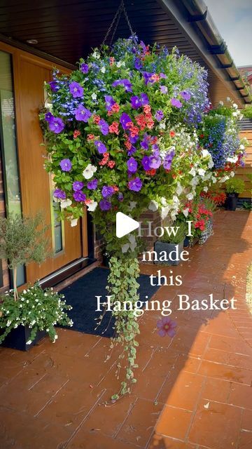 Iron Basket, Hanging Flower Baskets, Plants For Hanging Baskets, Garden Makeover, Trailing Plants, Diy Backyard Landscaping, Greenhouse Gardening, Small Garden Design, Hanging Basket