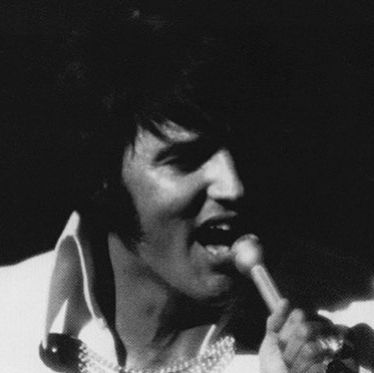 Elvis Performing, Graceland Memphis, The Midnight, August 12, Graceland, Elvis Presley, Fan, Hotel