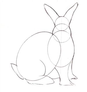 Hop to It and Learn to Draw a Bunny Rabbit with These Easy Steps: Draw a Bunny - Add Ears, Feet and Tail Draw A Bunny, Bee Printables, Rabbit Drawing, Bunny Painting, Rabbit Painting, Bunny Drawing, Seni Cat Air, Rabbit Art, Bunny Art