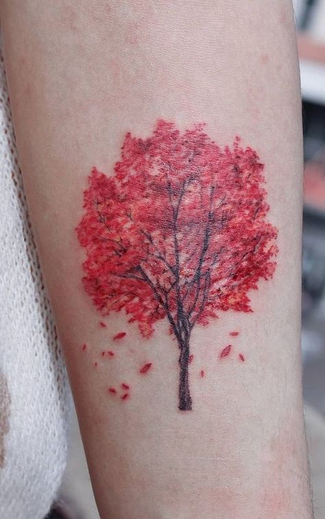 Redbud Tree Tattoo, Red Maple Tree Tattoo, Fall Trees Tattoo, Autumn Tree Tattoo, Fall Tree Tattoo, Red Tree Tattoo, Japanese Maple Tree Tattoo, Maple Tree Tattoo, Dead Tree Tattoo