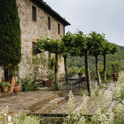 Tuscan Garden Design, Tuscan Style Garden, Arne Maynard, Terrace Building, Tuscan Farmhouse, Tuscan Garden, Umbrella Tree, Tuscan Landscaping, Mediterranean Plants