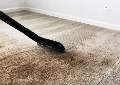 Shampooing Carpets Tips, Steam Cleaning Carpet, Best Carpet Cleaner Machine, Carpet Shampoo Hacks, Steam Cleaning Tips, How To Shampoo Carpet, Carpet Shampoo Machine, Steam Cleaner Solution, Shampoo Carpet